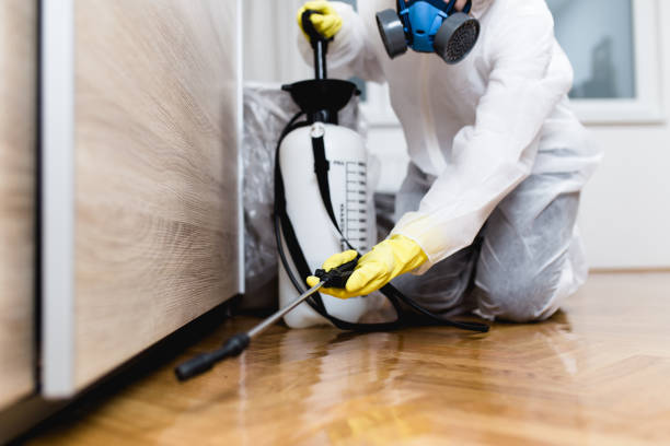 Best Affordable Pest Control Services  in Bernardsville, NJ