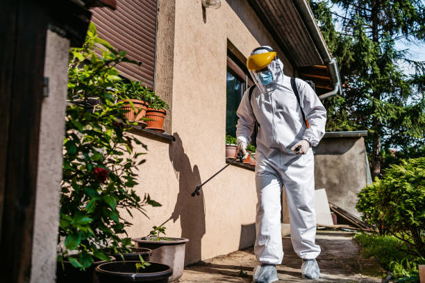 Best Affordable Exterminators  in Bernardsville, NJ