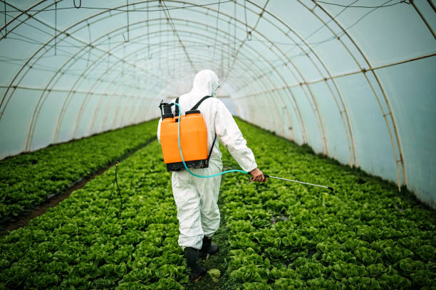 Best Pest Control Near Me  in Bernardsville, NJ