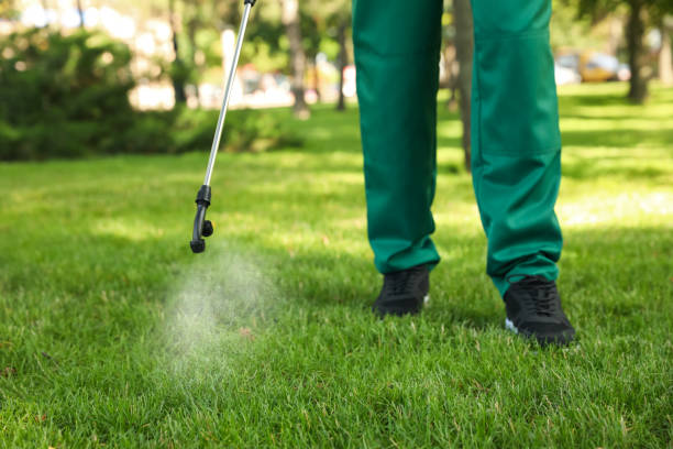 Best Pest Removal Services  in Bernardsville, NJ