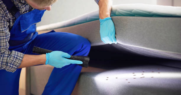 Best Commercial Pest Control Services  in Bernardsville, NJ