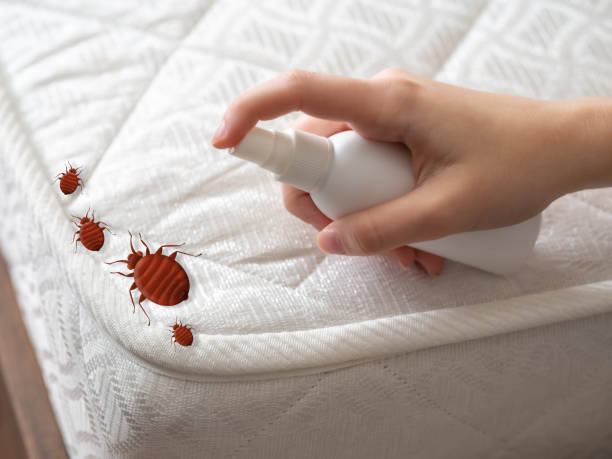 Best Affordable Pest Control Services  in Bernardsville, NJ