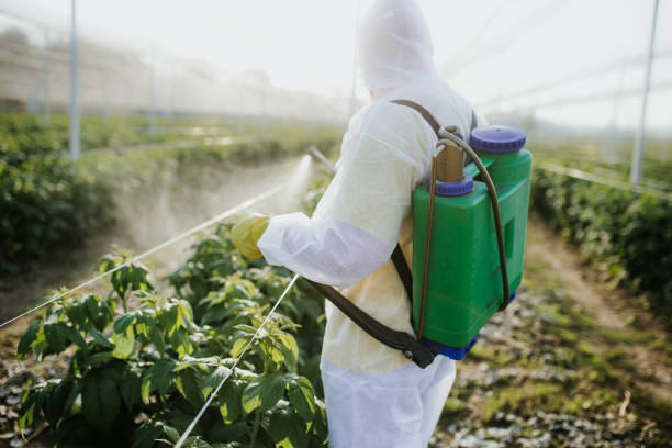 Best Emergency Pest Control  in Bernardsville, NJ